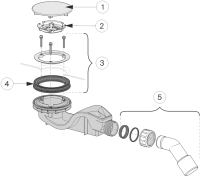 morepic-1