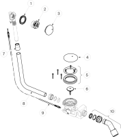 morepic-1