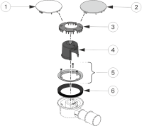 morepic-1